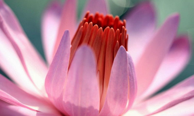 POMG TK Islam Tunas Ilmu